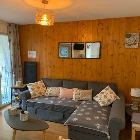 Appartement Tt Confort Au Coeur Des Montagnes Avec Vue Sur Les Montagnes Wifi 吕兹-圣索沃尔 外观 照片