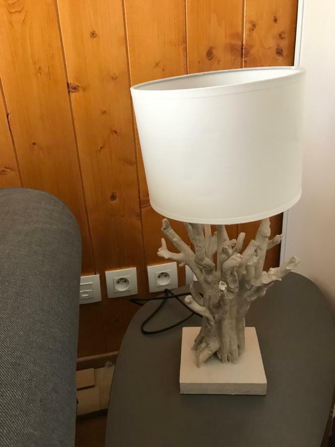 Appartement Tt Confort Au Coeur Des Montagnes Avec Vue Sur Les Montagnes Wifi 吕兹-圣索沃尔 外观 照片